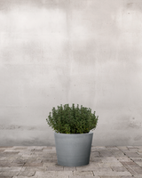 type=Greenify Udendørskrukke/color=Grå