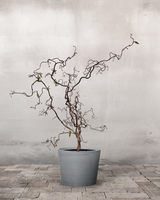 type=Greenify Udendørskrukke/color=Grå