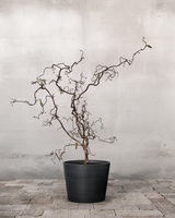 type=Greenify Udendørskrukke/color=Sort