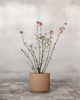 type=Simple krukke/color=Pale Terracotta