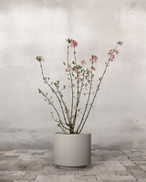 type=Simple krukke/color=Light Sand