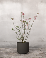 type=Simple krukke/color=Warm Black