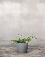 type=Greenify Udendørskrukke/color=Grå