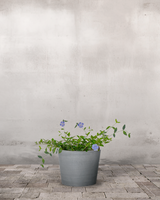 type=Greenify Udendørskrukke/color=Grå