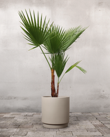 type=Simple krukke/color=Light Sand