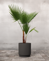 type=Simple krukke/color=Warm Black