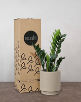 type=Simple krukke/color=Light Sand