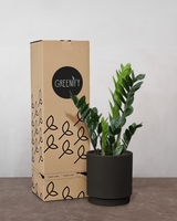 type=Simple krukke/color=Warm Black