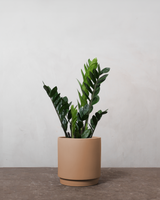 type=Simple krukke/color=Pale Terracotta