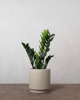 type=Simple krukke/color=Light Sand