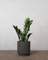 type=Simple krukke/color=Warm Black