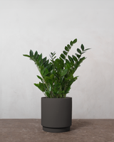 type=Simple krukke/color=Warm Black