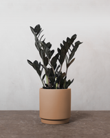 type=Simple krukke/color=Pale Terracotta