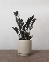 type=Simple krukke/color=Light Sand