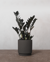 type=Simple krukke/color=Warm Black