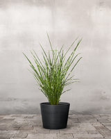 type=Greenify Udendørskrukke/color=Sort