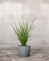 type=Greenify Udendørskrukke/color=Grå