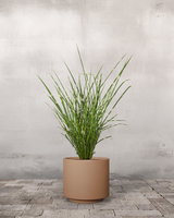 type=Simple krukke/color=Pale Terracotta