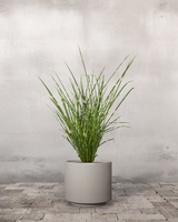 type=Simple krukke/color=Light Sand