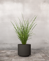 type=Simple krukke/color=Warm Black