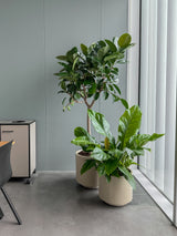 Simple Pot Lite - Light Sand - Ø62