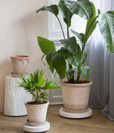 Rolling Stones - Light Sand