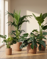 type=Simple Pot Clay/color=Pale Terracotta