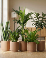 type=Simple Pot Lite/color=Pale Terracotta