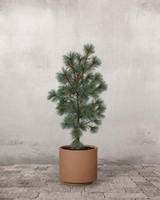 type=Simple krukke/color=Pale Terracotta