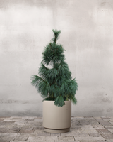 type=Simple krukke/color=Light Sand