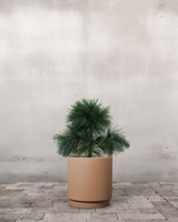 type=Simple krukke/color=Pale Terracotta