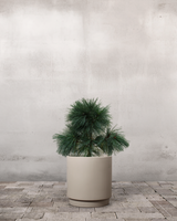 type=Simple krukke/color=Light Sand