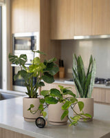 type=Simple Pot Clay/color=Light Sand