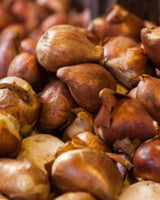 detalje