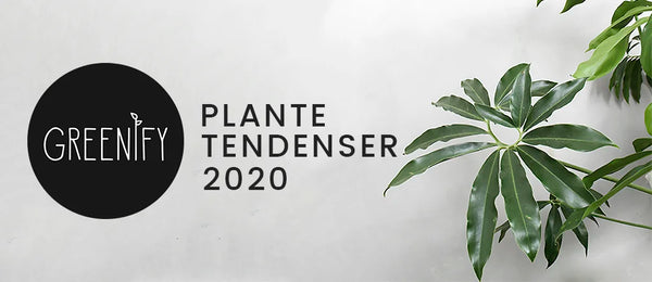 De største plante tendenser 2020