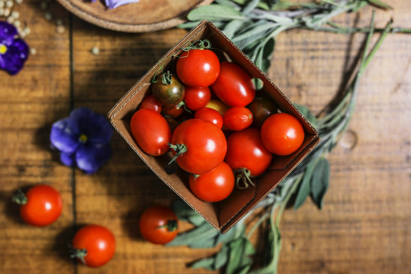 Få succes med cherrytomater i krukker – nem guide til pasning, pleje og høst