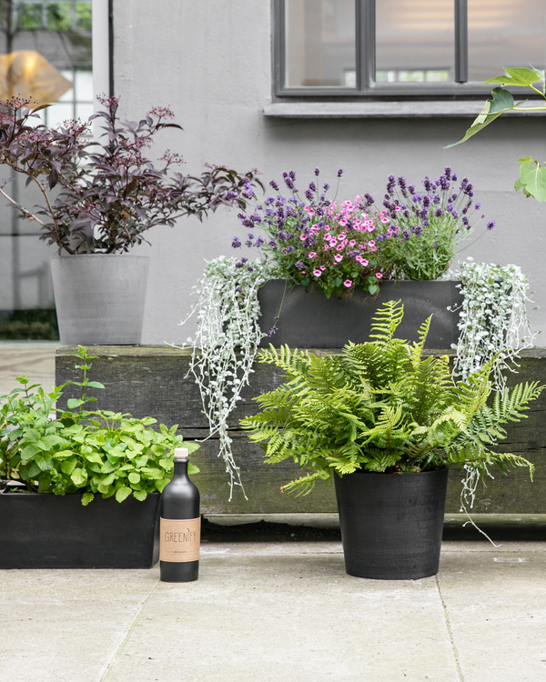 Gør din altan eller terrasse sommerklar med planter, krukker & altankasser