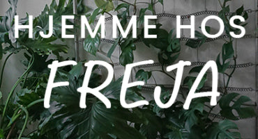 HJEMME HOS FREJA