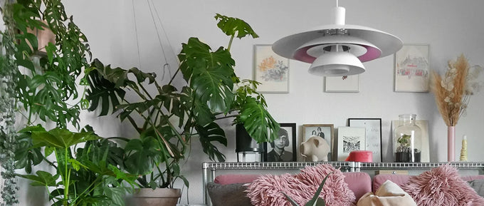 Hjemme hos  Sofie