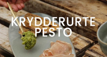 Krydderurtepesto