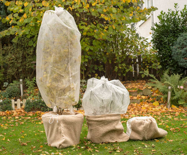 Frostsikring af planter og krukker