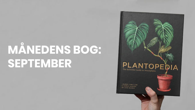 Månedens Bog: Plantopedia