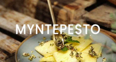Myntepesto