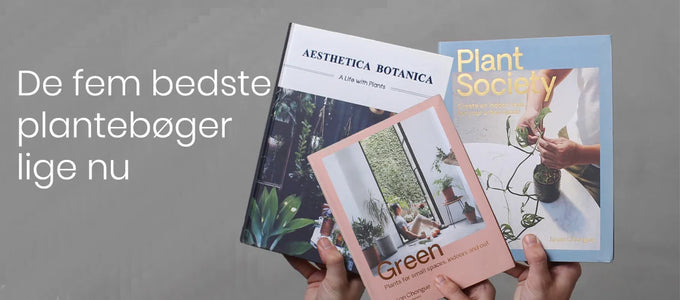 De bedste plantebøger til din indendørsjungle