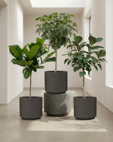 type=Simple Pot Clay/color=Warm Black