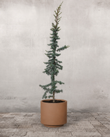 type=Simple krukke/color=Pale Terracotta
