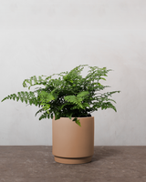 type=Simple krukke/color=Pale Terracotta