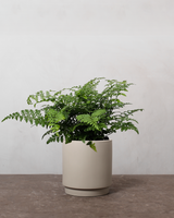 type=Simple krukke/color=Light Sand