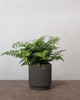 type=Simple krukke/color=Warm Black