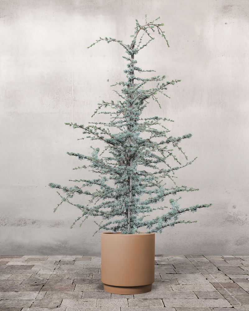 type=Simple krukke/color=Pale Terracotta